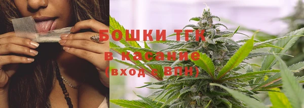 тгк Богородицк